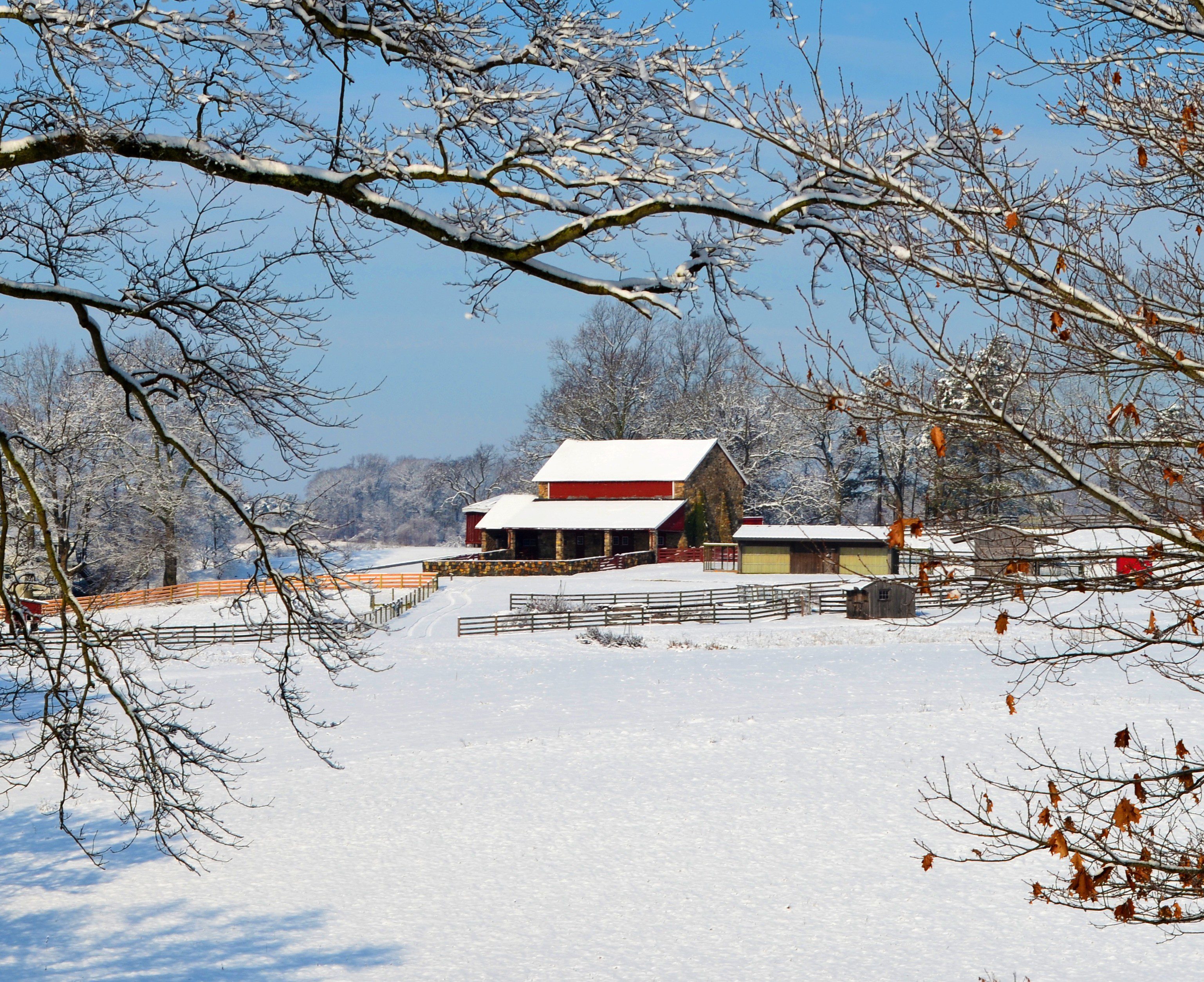 Water conservation is one of our primary ecological objectives at Coverdale Farm Preserve. Photo by Christi Leeson.