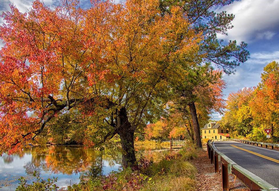 Abbott's Mill and Abbott's Pond Road in the fall.