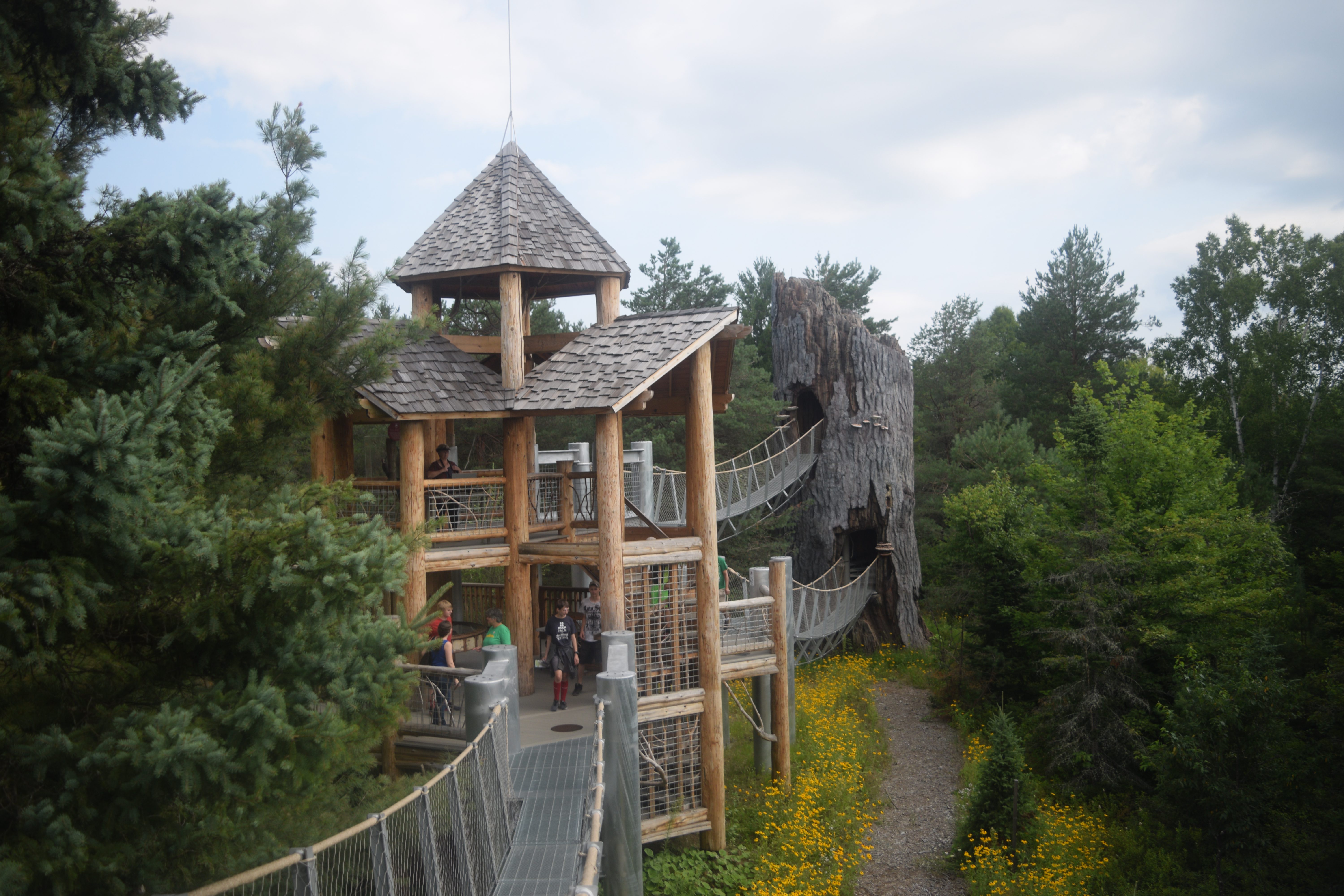 Wild Center’s Wild Walk