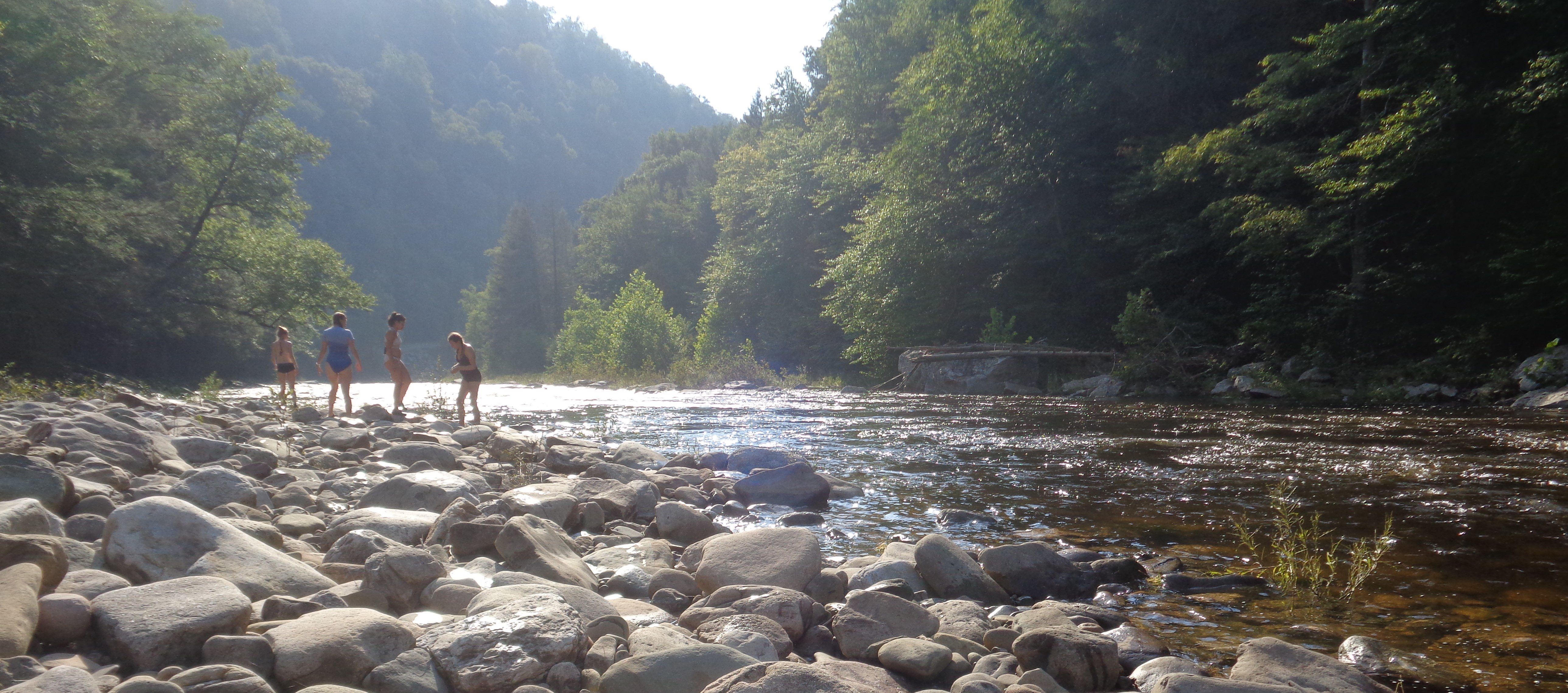 Exploring the Loyalsock