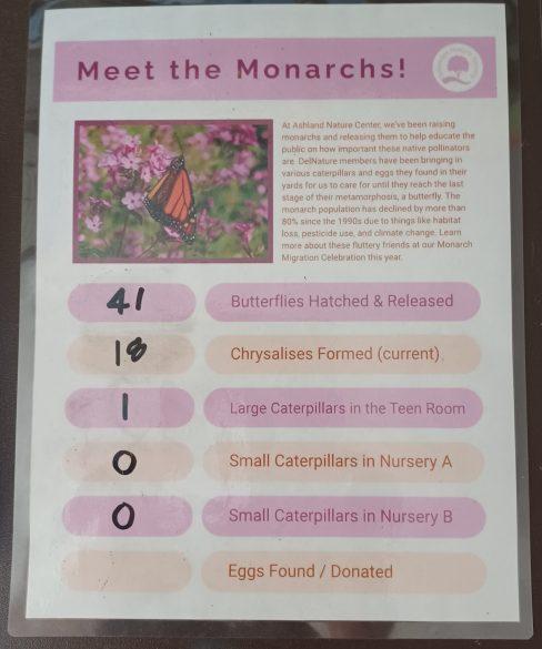 Tally of monarchs reared in 2025