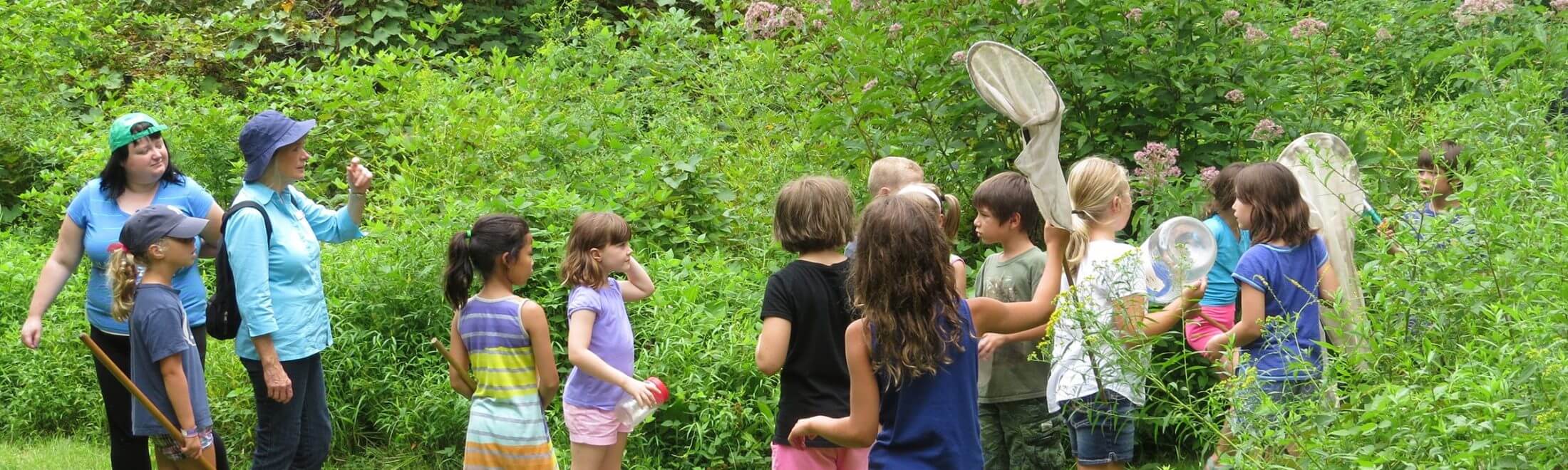 Coverdale Farm Preserve of Delaware Nature Society photo 6