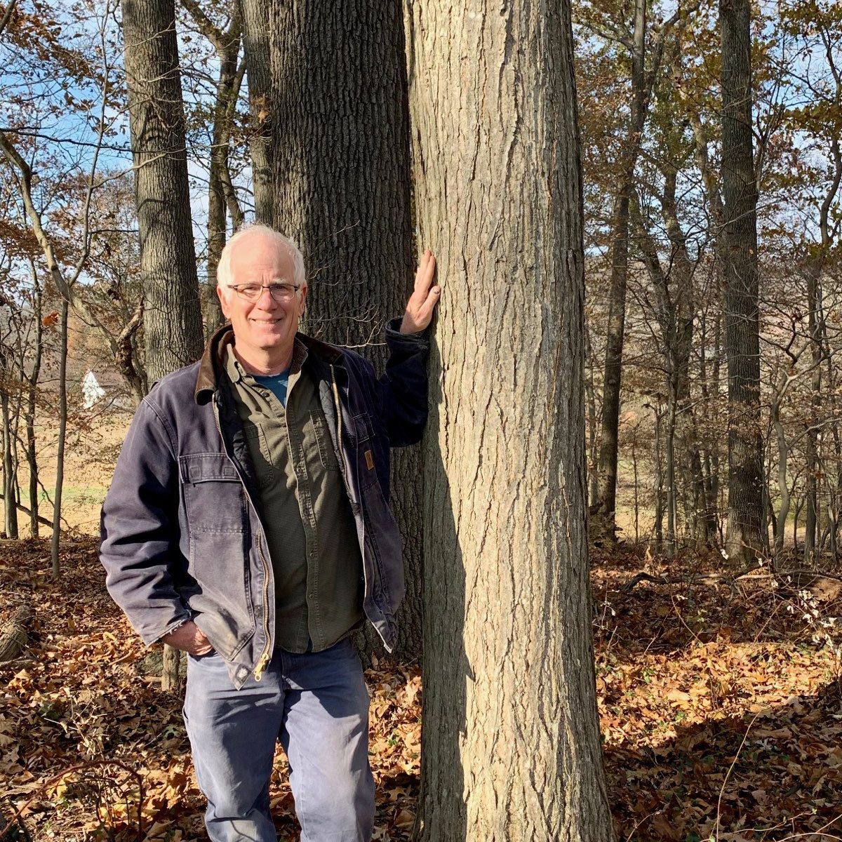 The Survivor Tree - American Forests