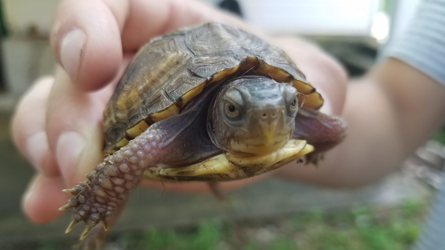 Summer Camp - Delaware Nature Society