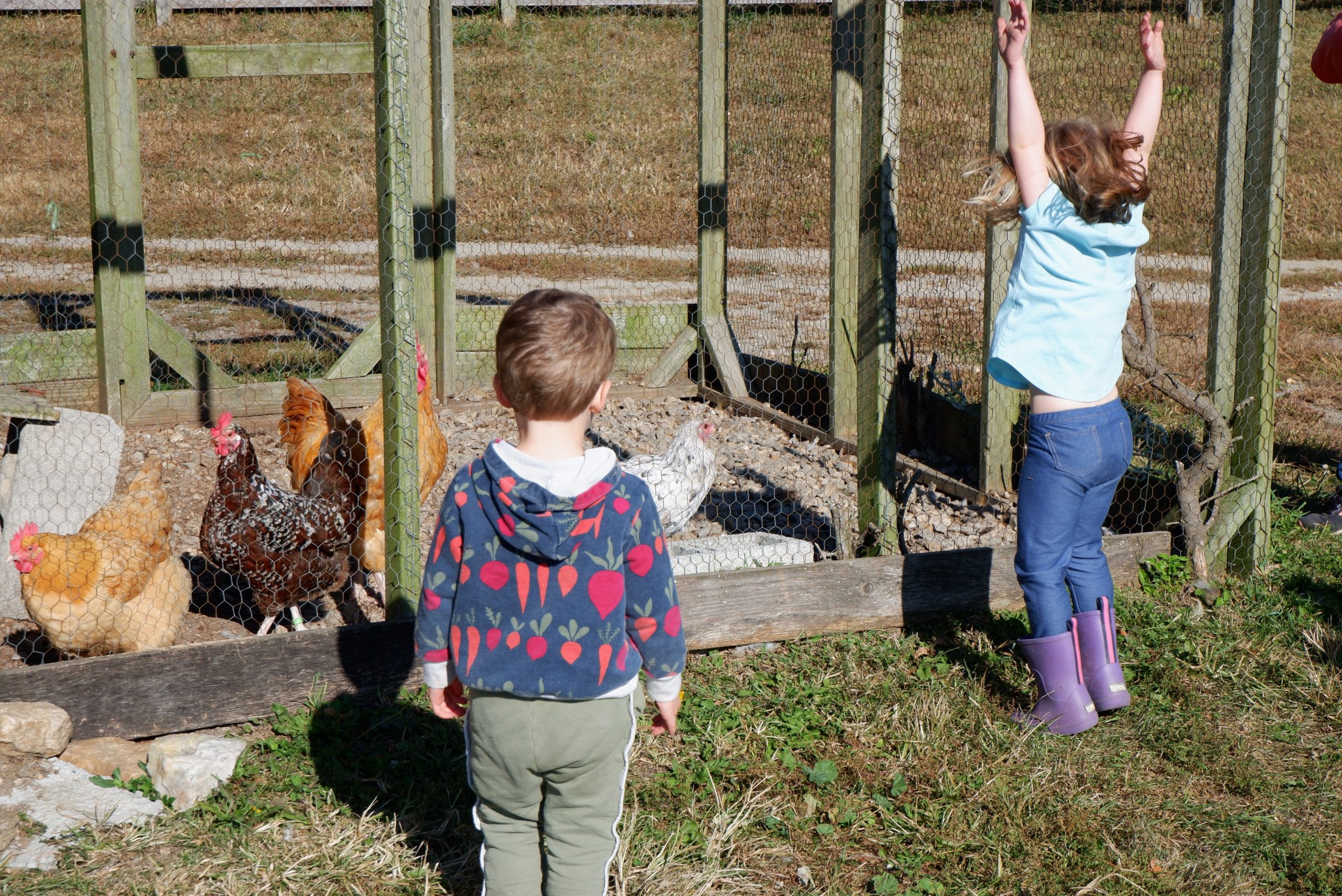 KNH 2024-3 by Isi Schweiger