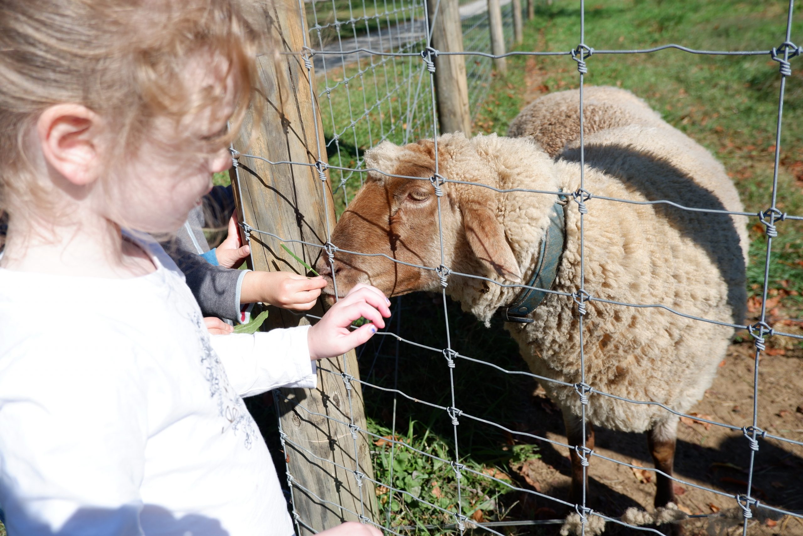 KNH 2024-4 by Isi Schweiger