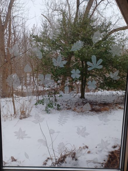 Bird-friendly window with leaf-shaped window decals