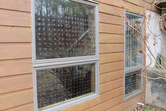 Several options for bird-friendly windows