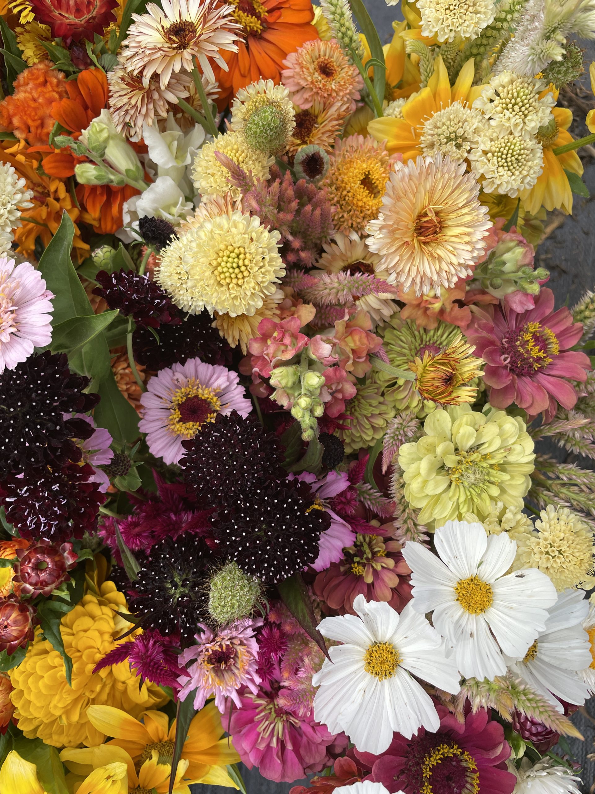 Flower Party Option 1