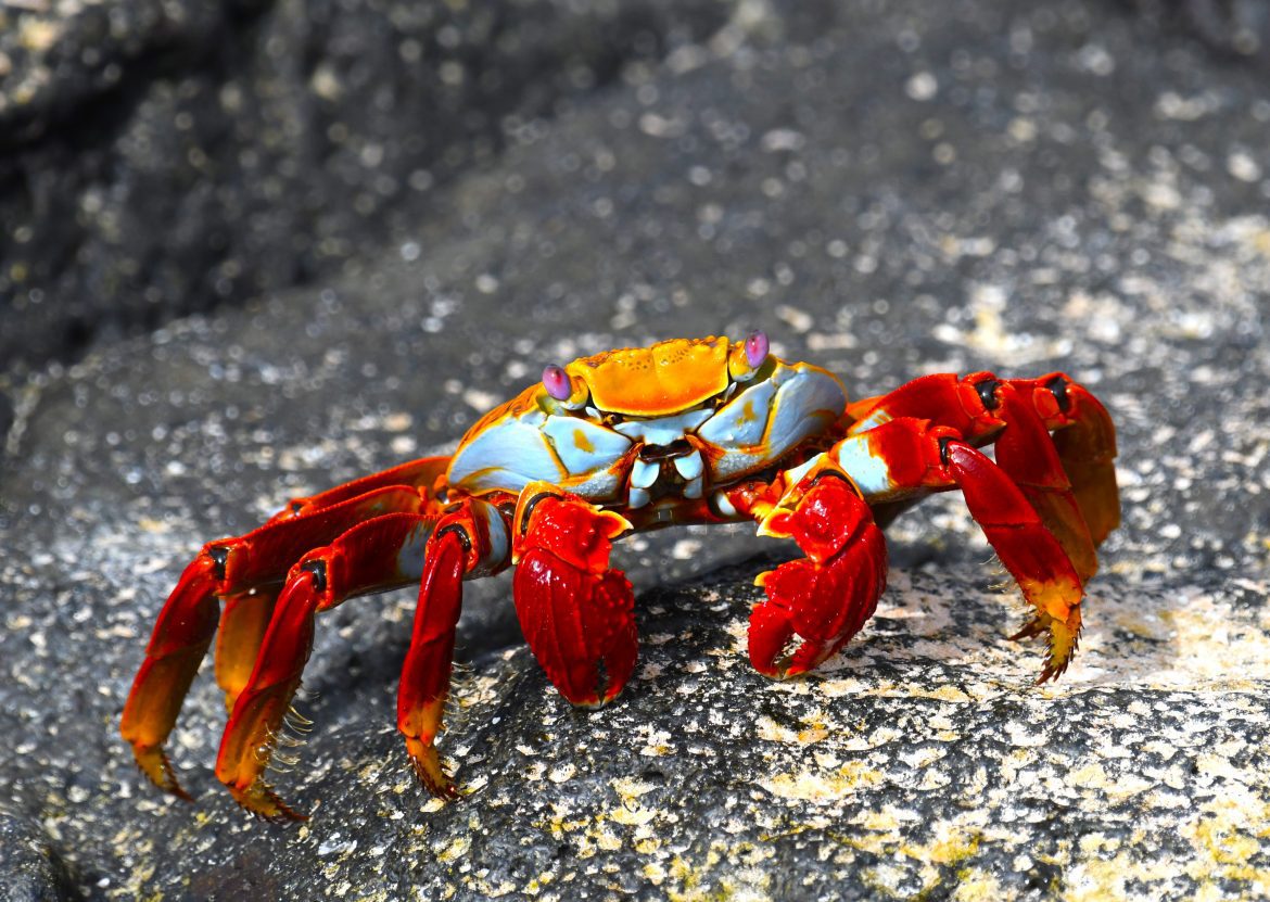 Coverdale Farm Preserve of Delaware Nature Society photo 16