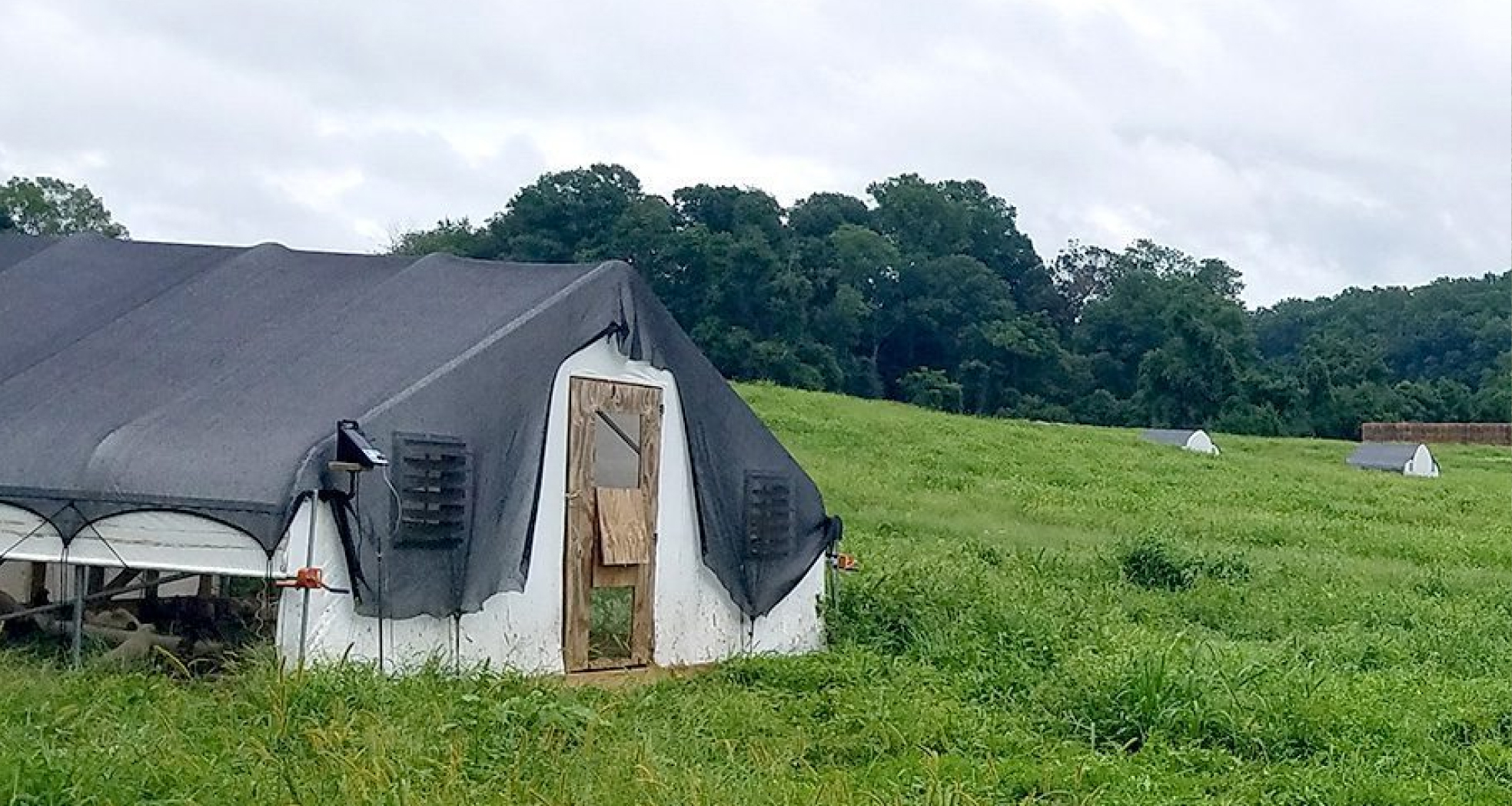 Greenhouse in a grassy field.