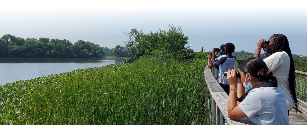 Group observing wildlife from a boardwalk near a marsh.