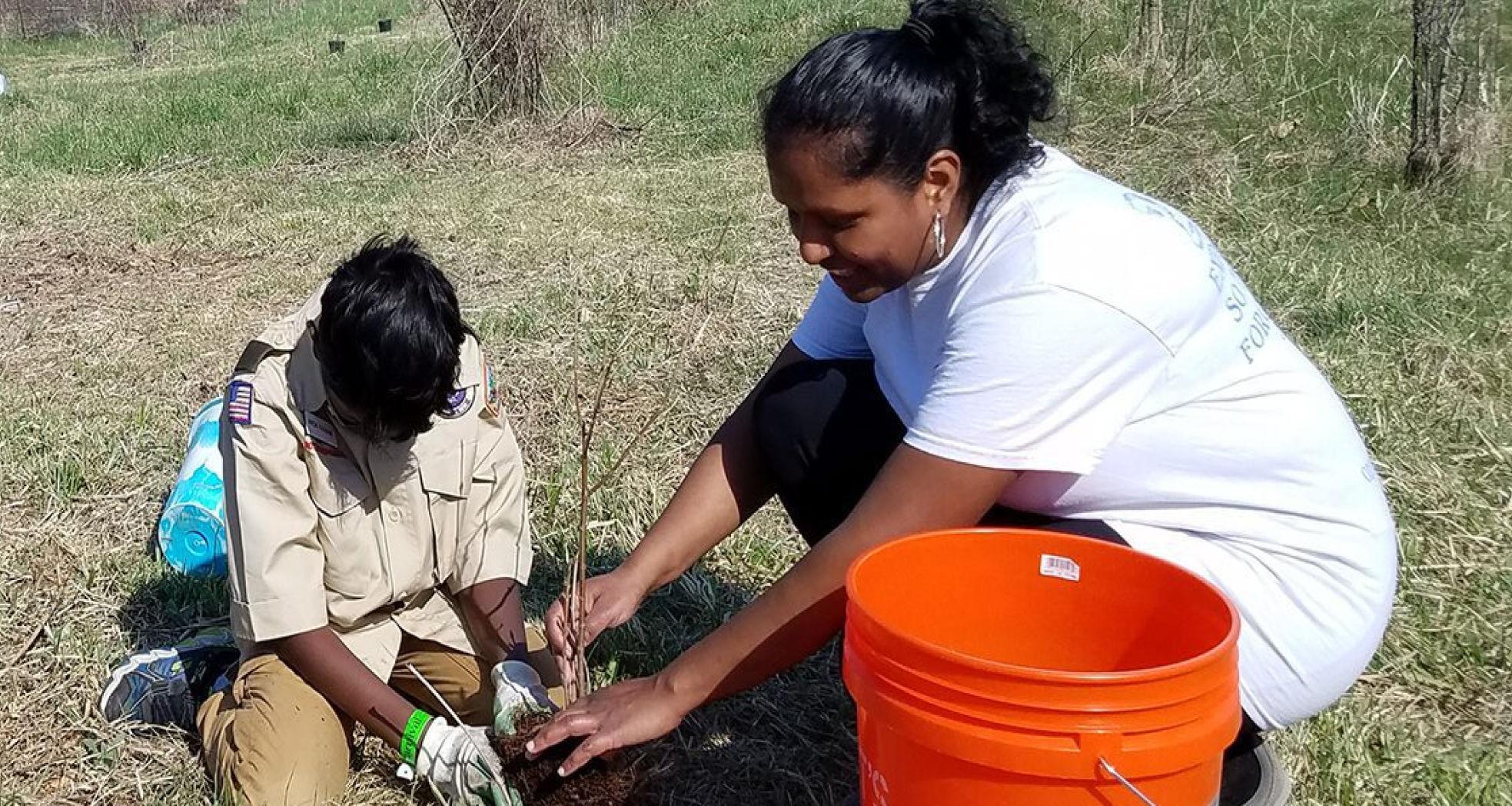 Two people planting a tree outdoors with an orange bucket.