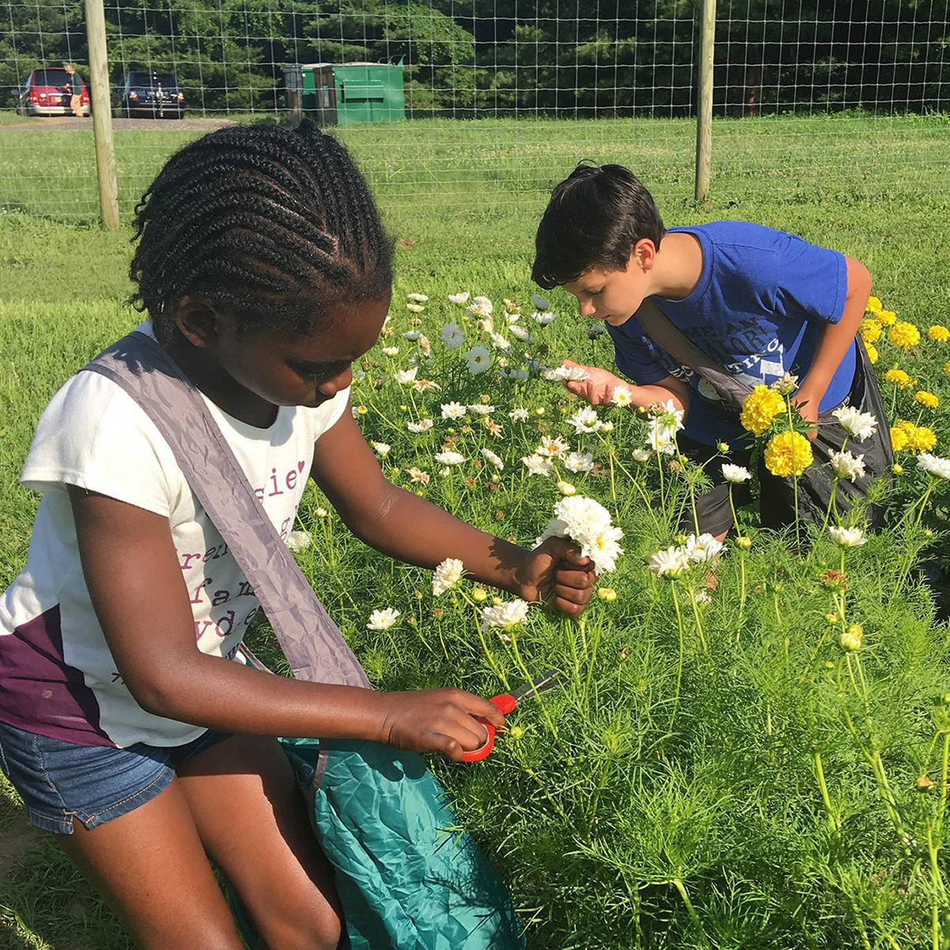 Two children picking flowers in a garden.