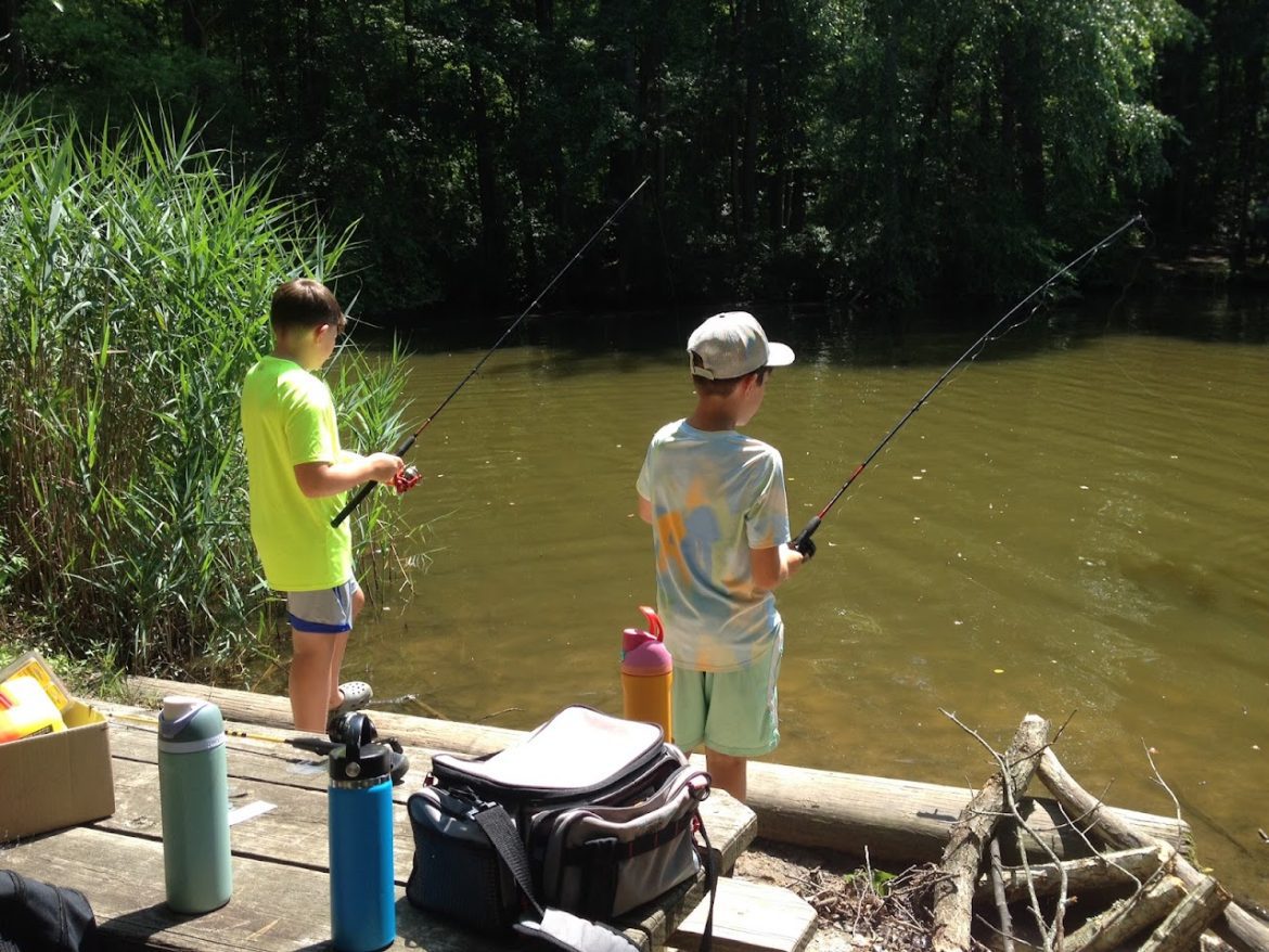 Coverdale Farm Preserve of Delaware Nature Society photo 17