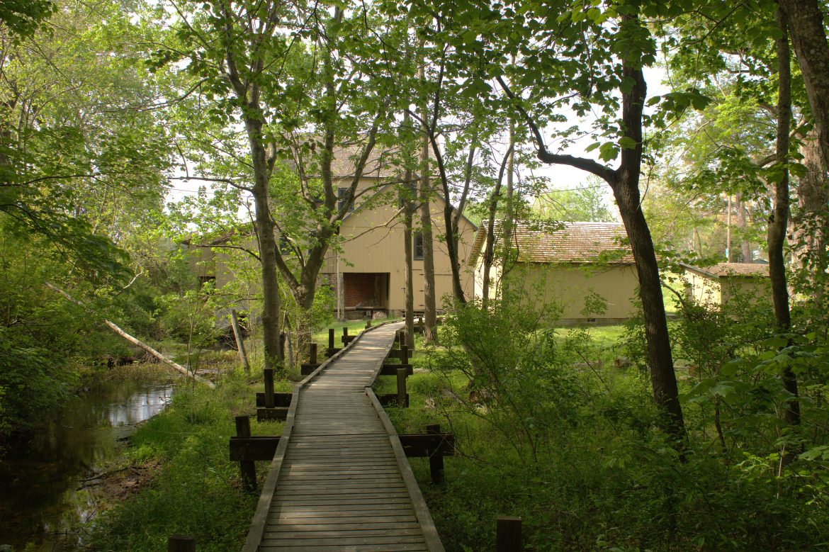 Coverdale Farm Preserve of Delaware Nature Society photo 19