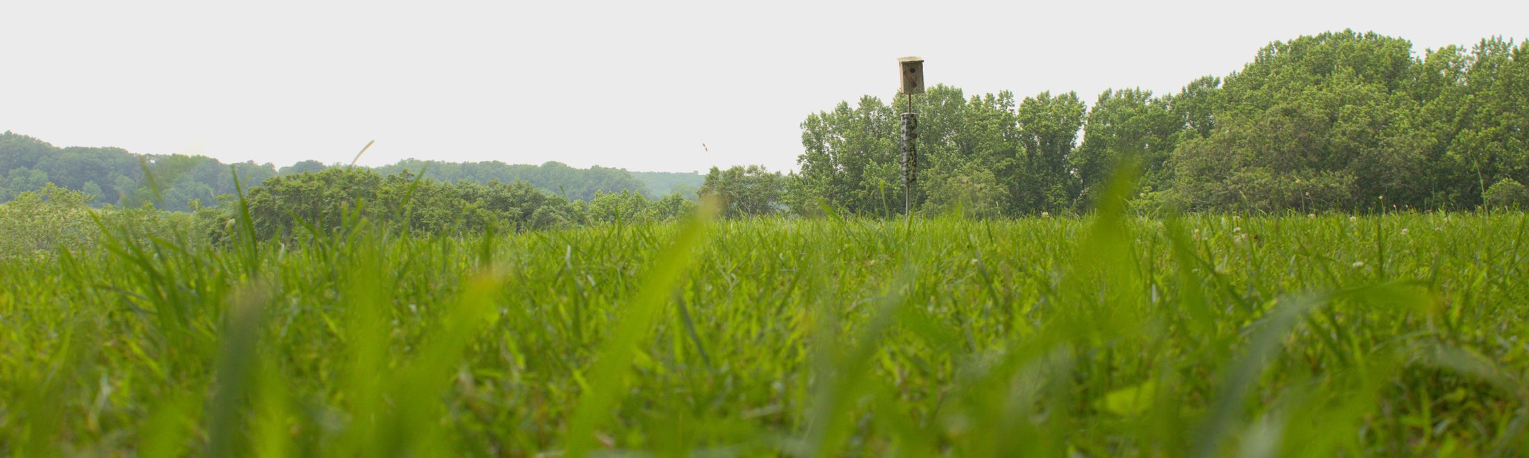 Coverdale Farm Preserve of Delaware Nature Society photo 20