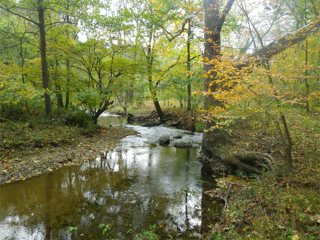 Creek flowing through a wooded area.