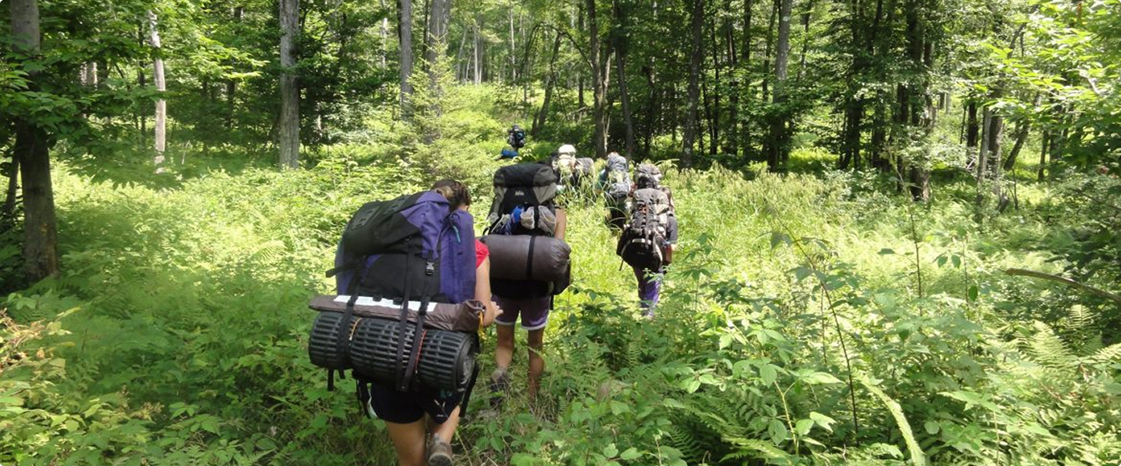 Hikers carrying backpacks through a wooded trail.