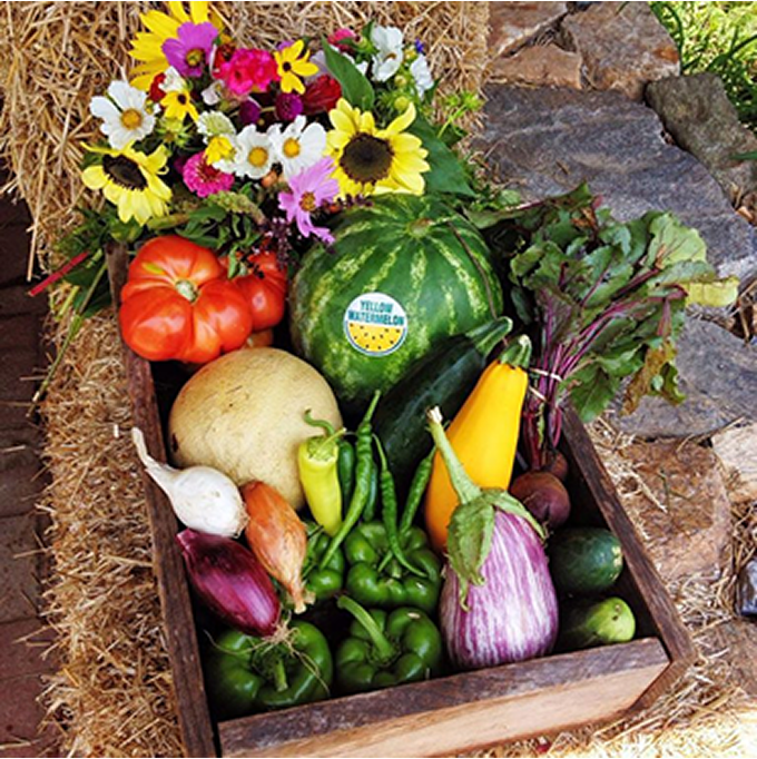 Fresh vegetables and flowers arranged in a basket.