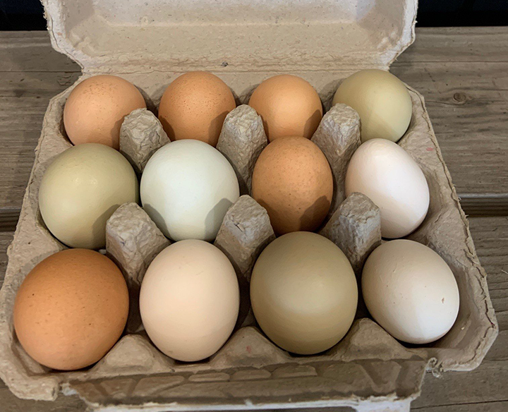 Carton of assorted farm eggs.