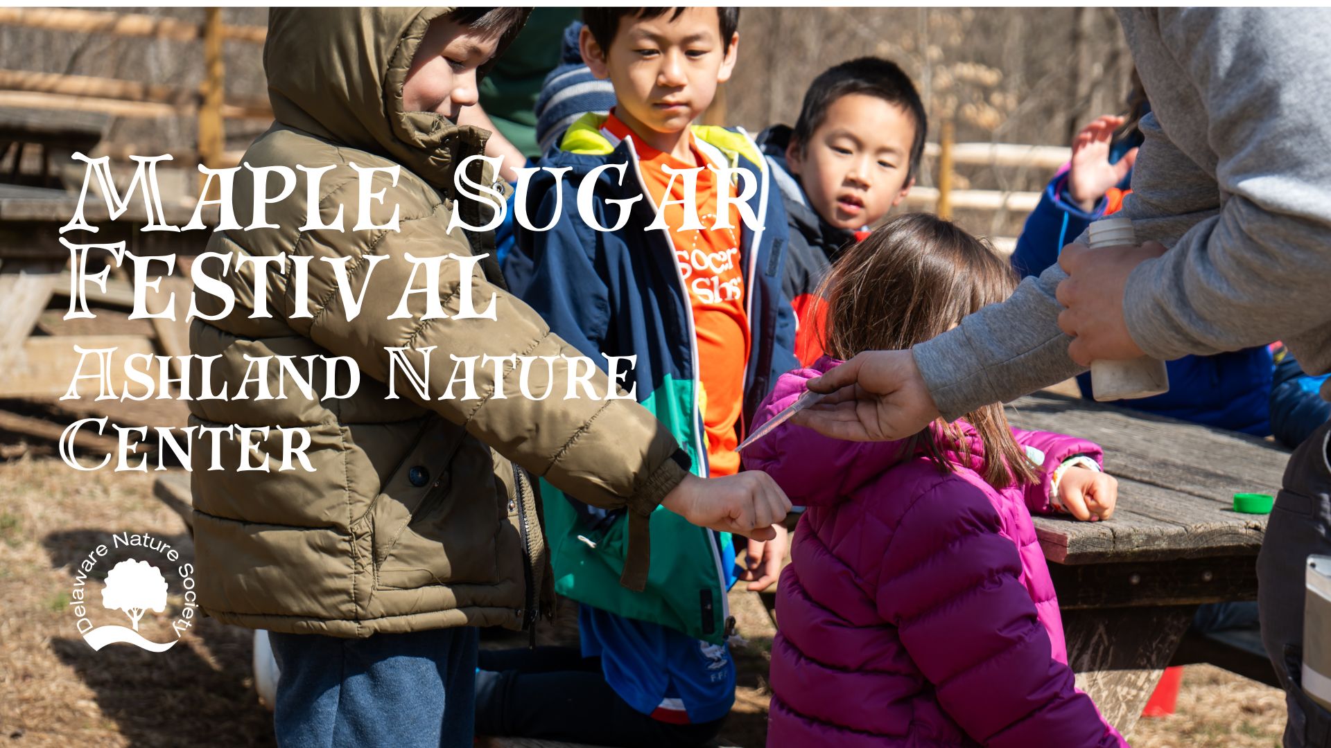 Children gathered around a tree during Maple Sugaring Day.