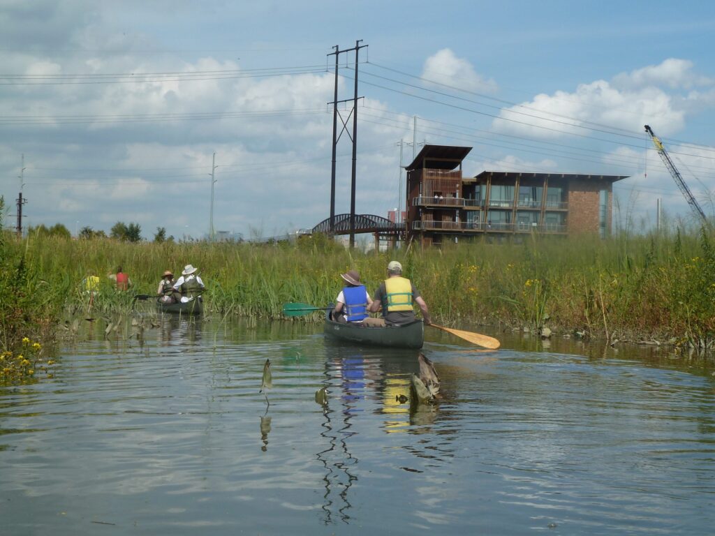 People canoeing through wetlands near a building and bridge.
