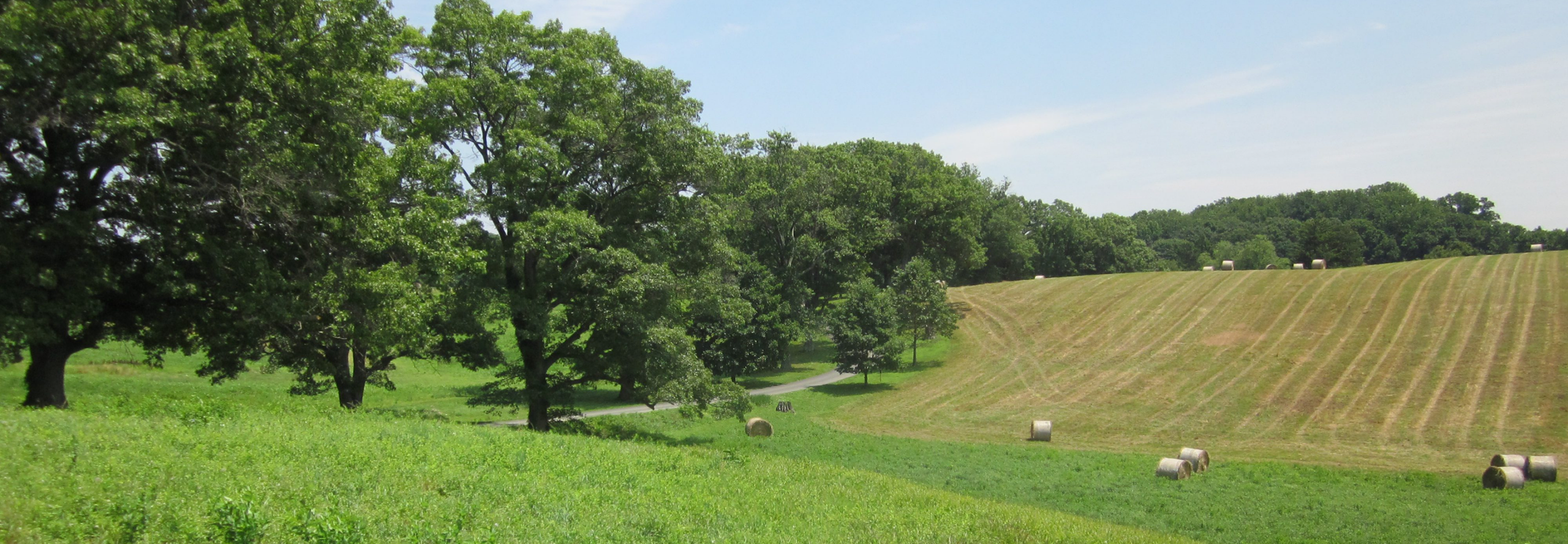 Open field with trees and hay bales in the distance.