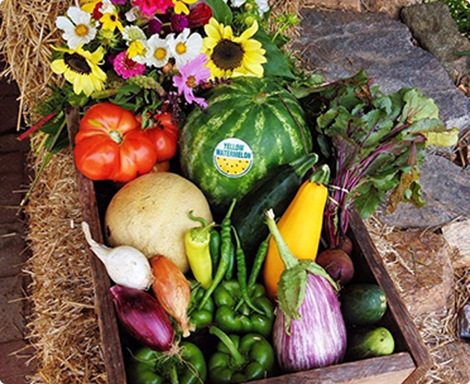 Fresh vegetables and flowers arranged in a basket.